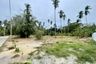 Land for sale in Mae Nam, Surat Thani