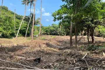 Land for sale in Bo Phut, Surat Thani