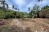 Land for sale in Bo Phut, Surat Thani