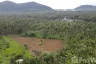 Land for sale in Thong Chai, Prachuap Khiri Khan