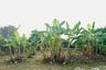 Land for sale in J.C. Garden Ville, San Na Meng, Chiang Mai