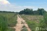 Land for sale in Doi Lo, Chiang Mai