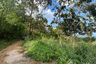 Land for sale in Ang Thong, Surat Thani