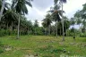 Land for sale in Tha Kham, Surat Thani
