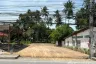 Land for sale in Mae Nam, Surat Thani