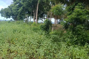 Land for sale in Bang Son, Chumphon