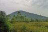 Land for sale in Sam Roi Yot, Prachuap Khiri Khan
