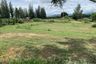 Land for sale in Wang Phong, Prachuap Khiri Khan