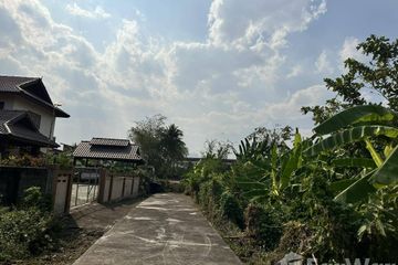 Land for sale in Nong Chom, Chiang Mai