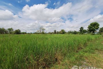 Land for sale in Chiang Phin, Udon Thani