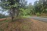 Land for sale in Samoeng Tai, Chiang Mai