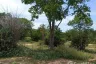 Land for sale in Cha am, Phetchaburi