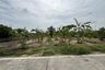 Land for sale in Bang Kachao, Samut Prakan