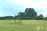 Land for sale in Na Yang, Phetchaburi