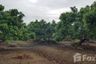 Land for sale in Ban Klang, Chiang Mai