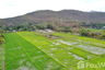 Land for sale in Rong Wua Daeng, Chiang Mai