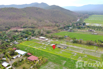 Land for sale in Rong Wua Daeng, Chiang Mai