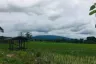 Land for sale in Nam Phrae, Chiang Mai