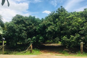 Land for sale in Nam Phrae, Chiang Mai