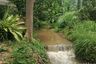 Land for sale in Suthep, Chiang Mai