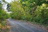 Land for sale in Hin Lek Fai, Prachuap Khiri Khan