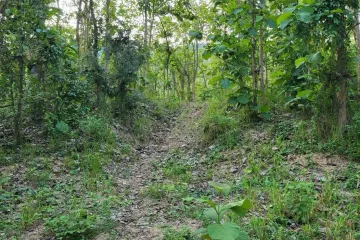 Land for sale in Hin Lek Fai, Prachuap Khiri Khan