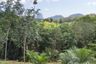 Land for sale in Khlong Khian, Phang Nga