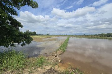 Land for sale in Buak Khang, Chiang Mai