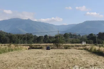 Land for sale in Mu Si, Nakhon Ratchasima