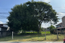 Land for sale in Nong Han, Chiang Mai