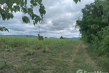 Land for sale in Wang Sai, Nakhon Ratchasima