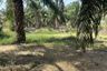 Land for sale in Rai Mai Phatthana, Phetchaburi