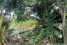 Land for sale in Bang Mot, Bangkok