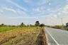 Land for sale in Huai Yai, Chonburi