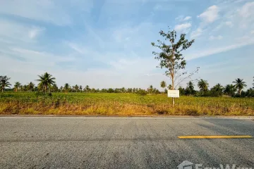 Land for sale in Huai Yai, Chonburi