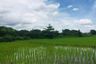 Land for sale in Nam Phrae, Chiang Mai