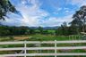 Land for sale in Nong Yaeng, Chiang Mai