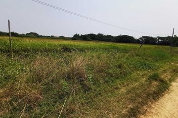 Land for sale in Nong Faek, Chiang Mai