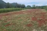 Land for sale in Sam Roi Yot, Prachuap Khiri Khan