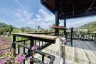 3 Bedroom House for Sale or Rent in Kamala, Phuket