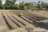 Land for sale in Samae Dam, Bangkok