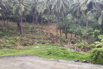 Land for sale in Karon, Phuket