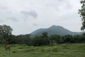 Land for sale in On Klang, Chiang Mai