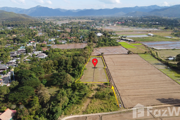 Land for sale in Rong Wua Daeng, Chiang Mai