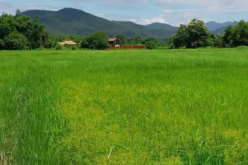 Land for sale in Nong Yaeng, Chiang Mai
