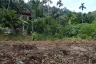 Land for sale in Kathu, Phuket