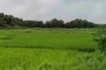 Land for sale in Ban Mae, Chiang Mai