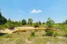 Land for sale in Sop Poeng, Chiang Mai