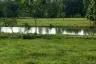 Land for sale in Sop Poeng, Chiang Mai