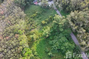 Land for sale in Thep Krasatti, Phuket